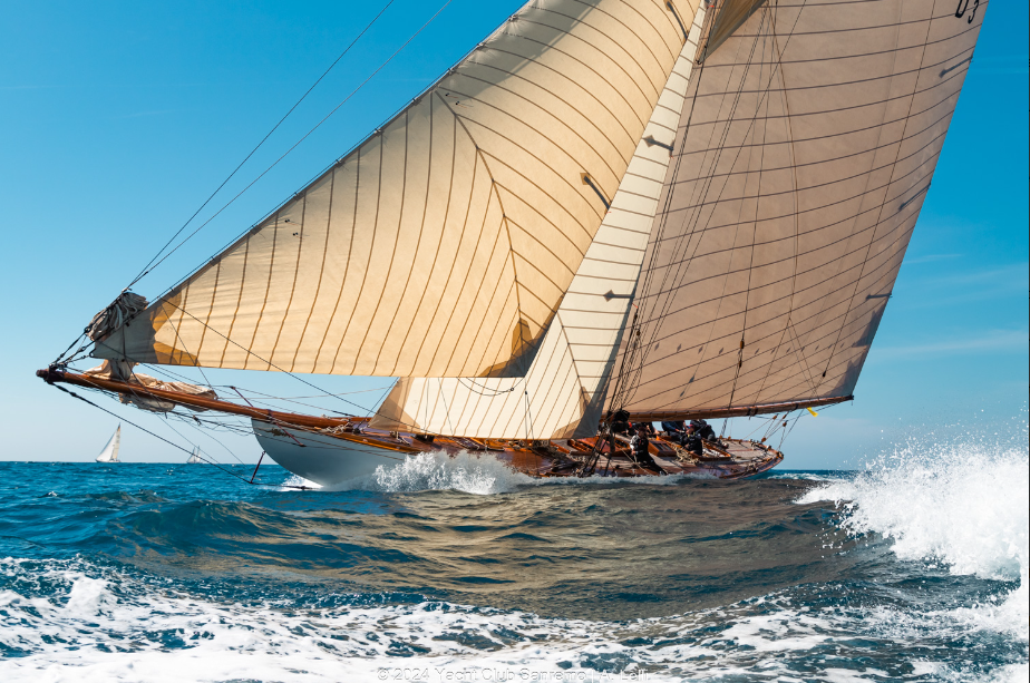 YCM flagship lifts trophy 9 tuiga voile adulte